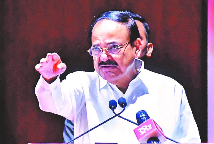 Vice President In PU