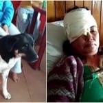 अरुणा लामा-पालतू कुत्ता टाइगर