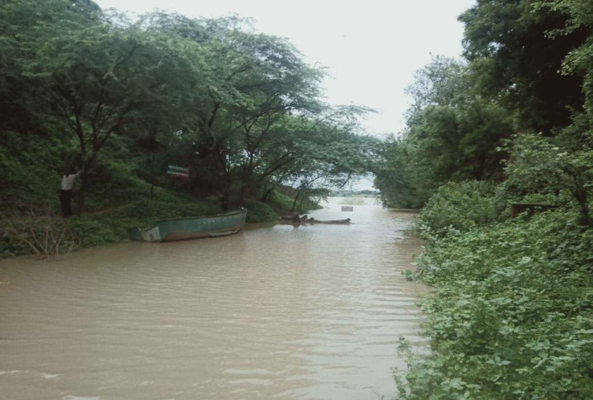 flood situation due to water level increasing of chambal river in agra