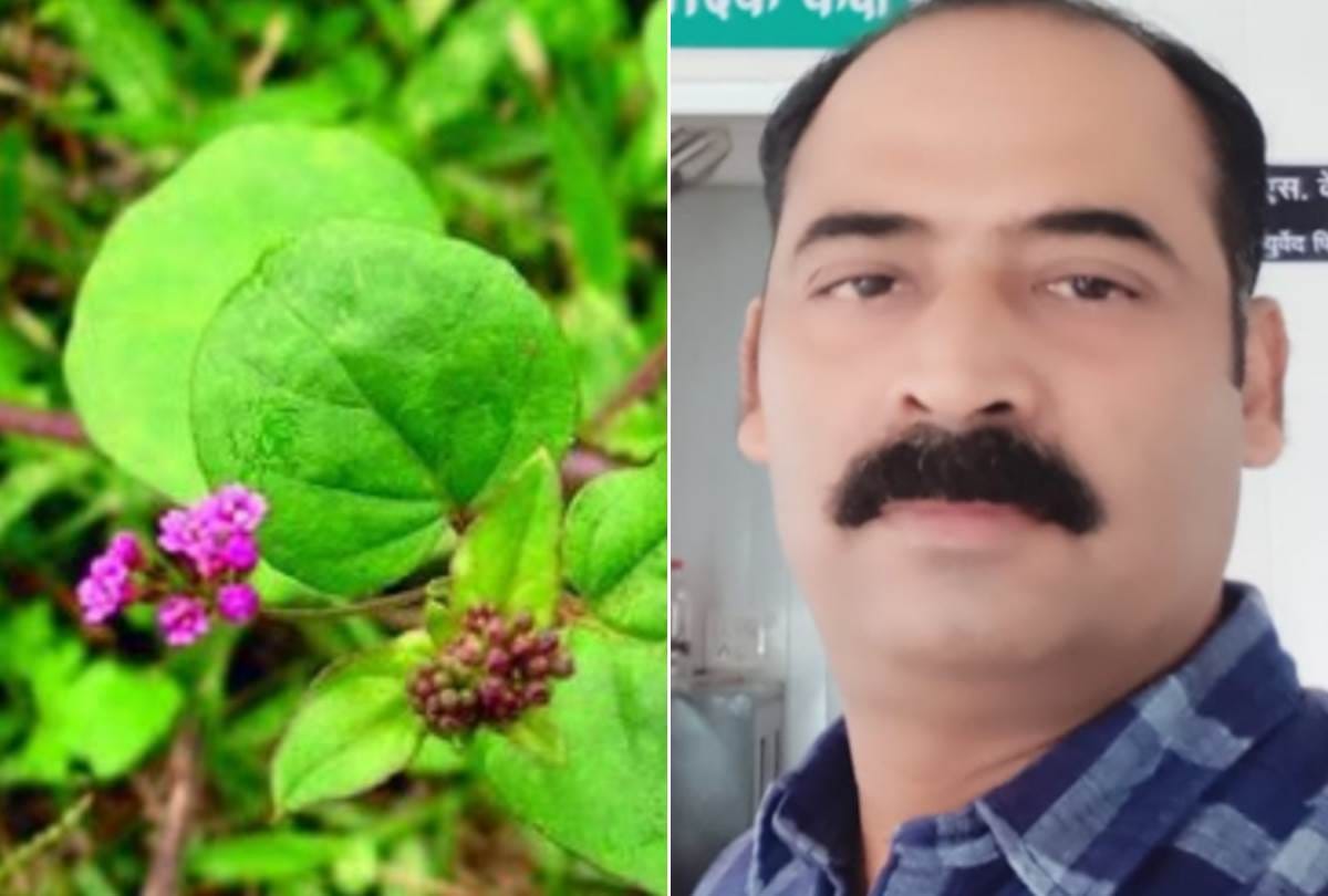 know about the benefits of plants