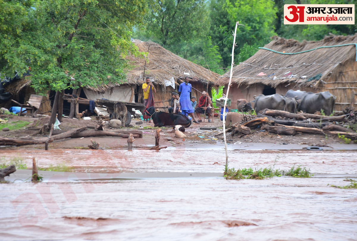 flood like situation in kathua jammu kashmir, rivers on their danger level in jammu kashmir, photos