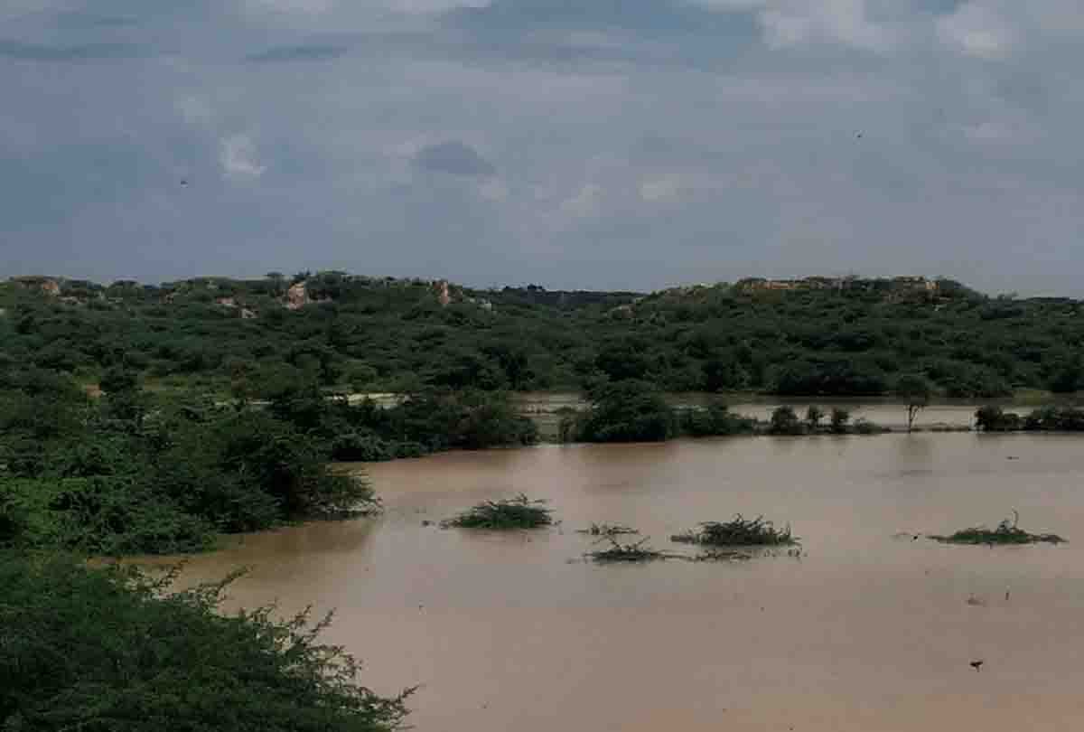 Yamuna Betwa Ganga Chambal river above danger mark after releasing water from dams