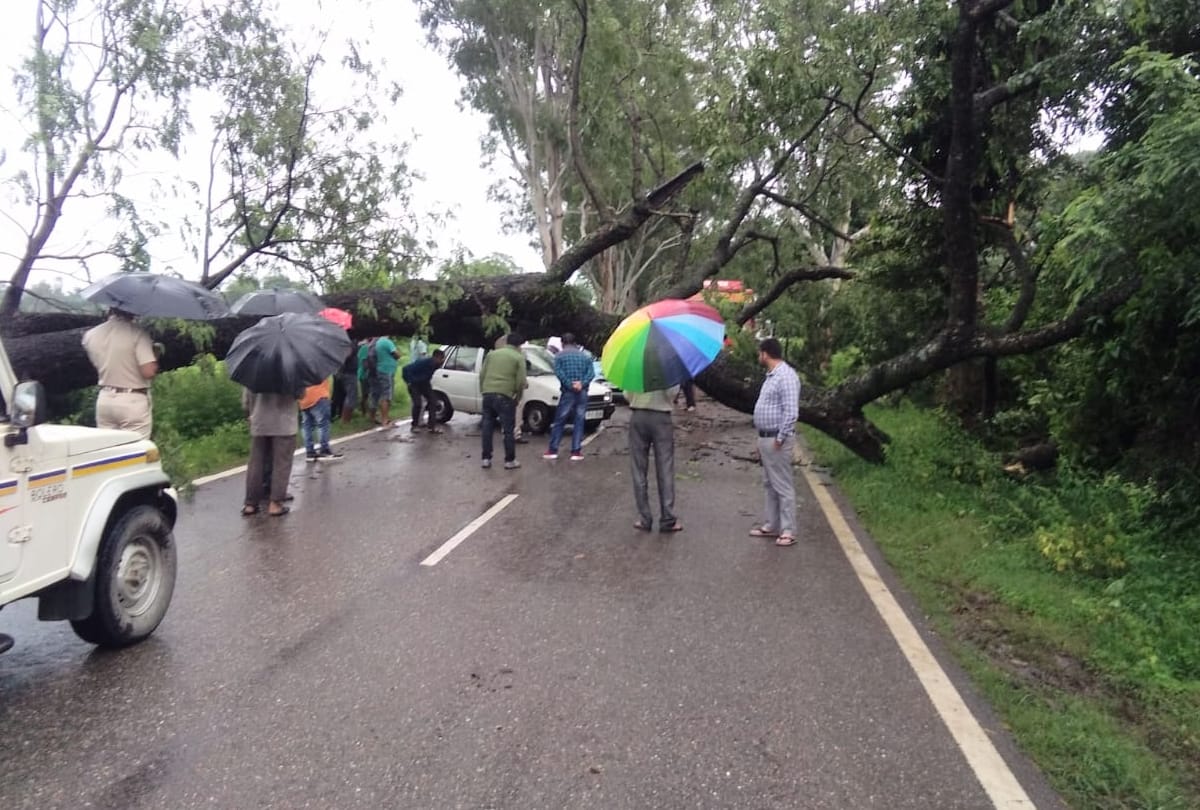 heavy rain in himachal holiday declared in chamba and kangra red alert in himachal six districts