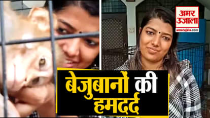 meet the street dogs, animal lover vanshika who care them prayagraj