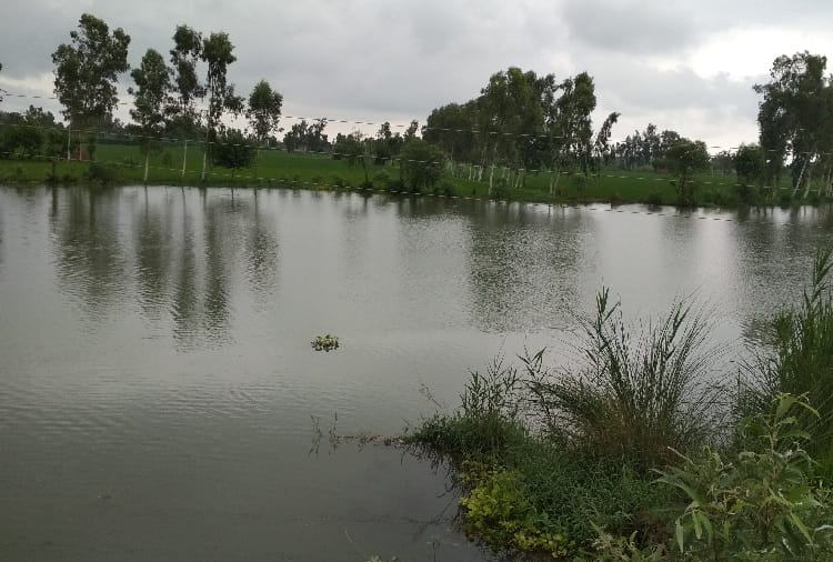 Water Released from Hussainiwala Head in side of pakistan, sutlej river water level extends