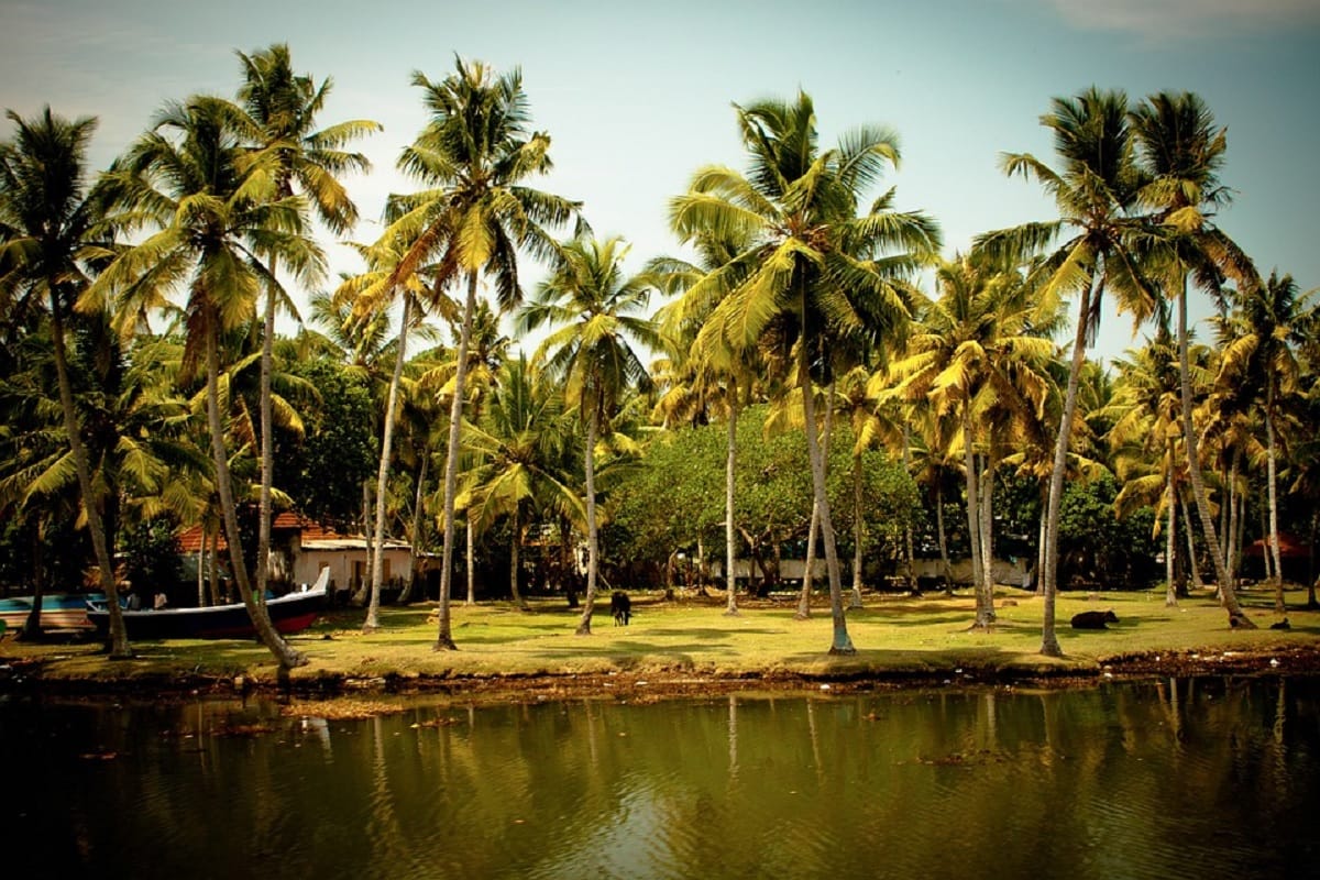 go varkala to see beautiful beaches and amazing experience