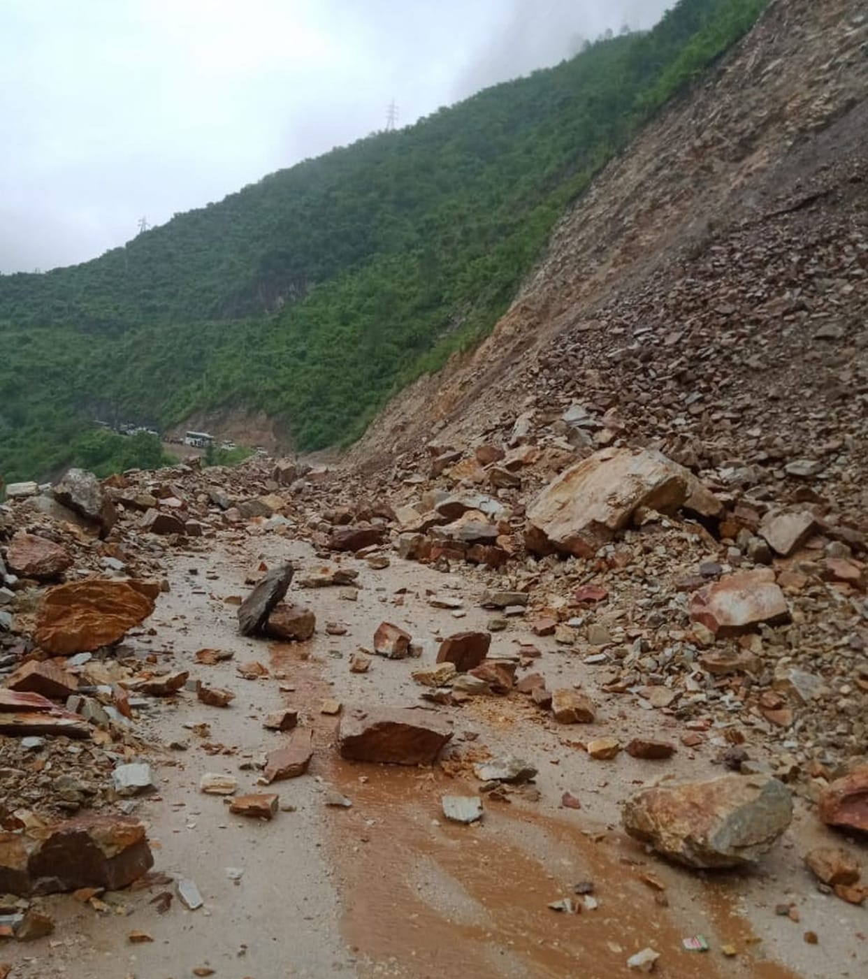 Badrinath highway was blocked all day
