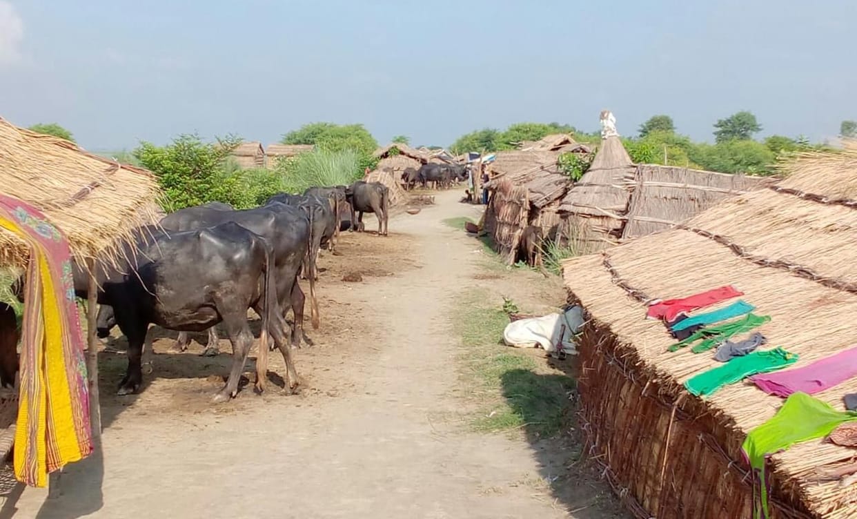Flood affected 650 families encamped on the dam