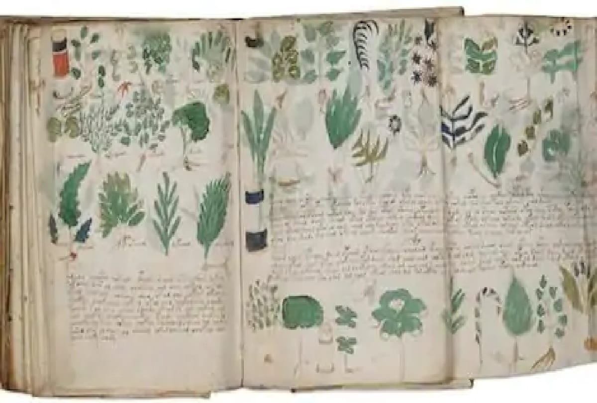 voynich manuscript mysterious book in world