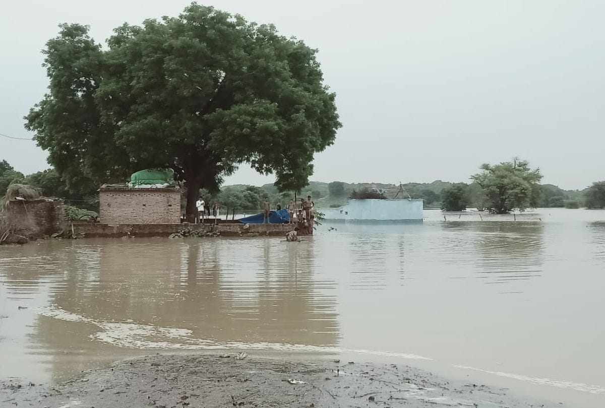 flood situation due to water level increasing of yamuna and chambal river in agra