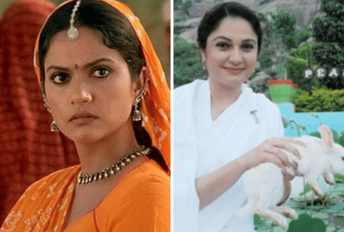 Gayatri Joshi to Preeti Jhangiani Bollywood actresses first film hit after flop