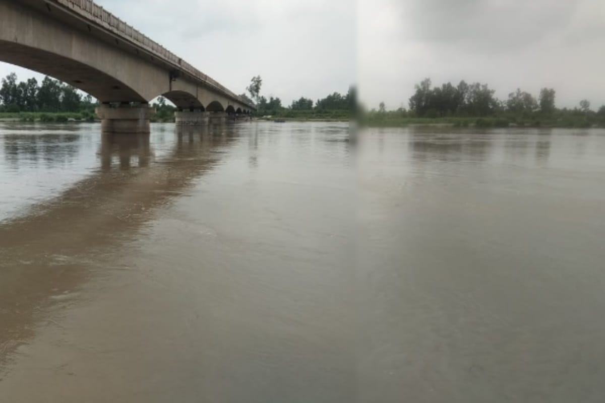 Torrential rain disrupted life in west up, Yamuna river reached above danger mark