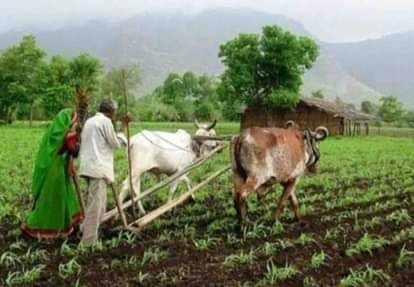 प्रतीकात्मक तस्वीर