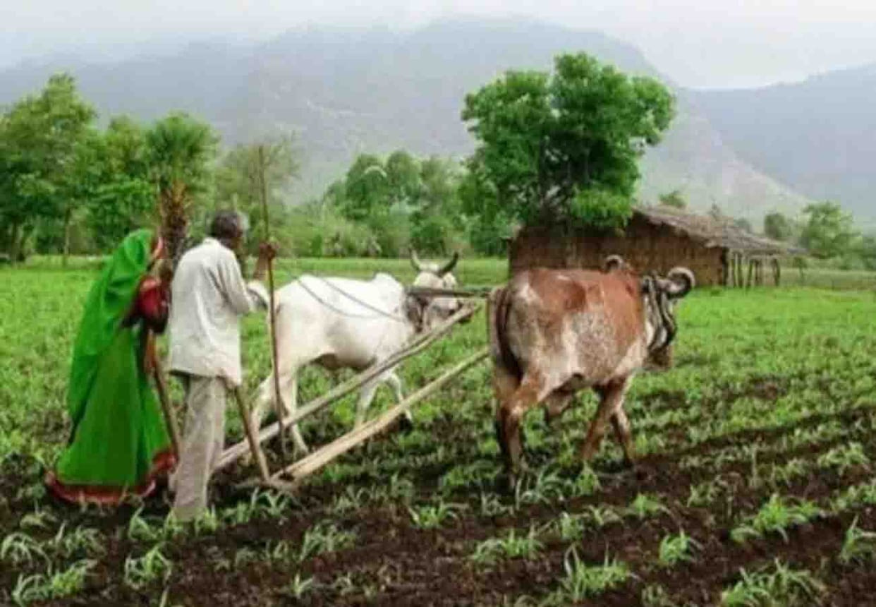 news related to pm mandhan yojana and pension for farmers