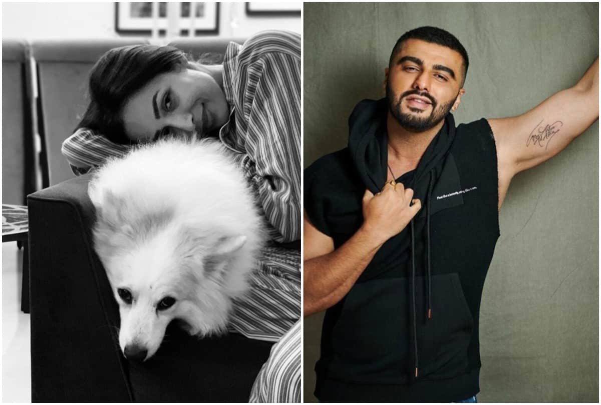 Arjun Kapoor Gets Trolled After Sharing Kissing Pic With Malaika Arora
