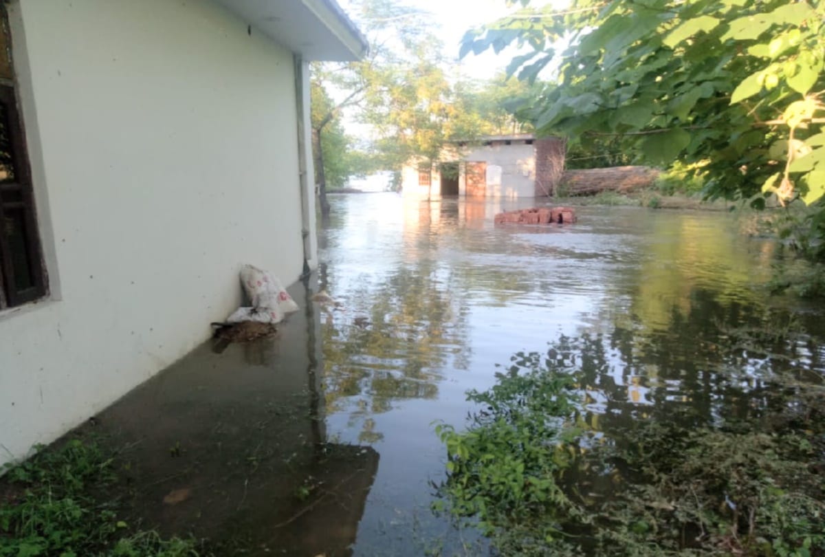 Gobindsagar lake water crosses danger mark, flood gate of Bhakra raised up to eight feet