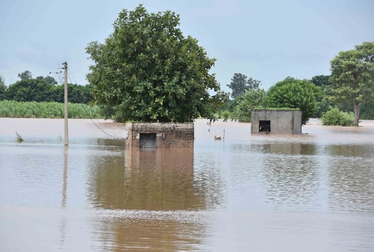Floods in Punjab, Water Released In Satluj River From Bhakra Dam