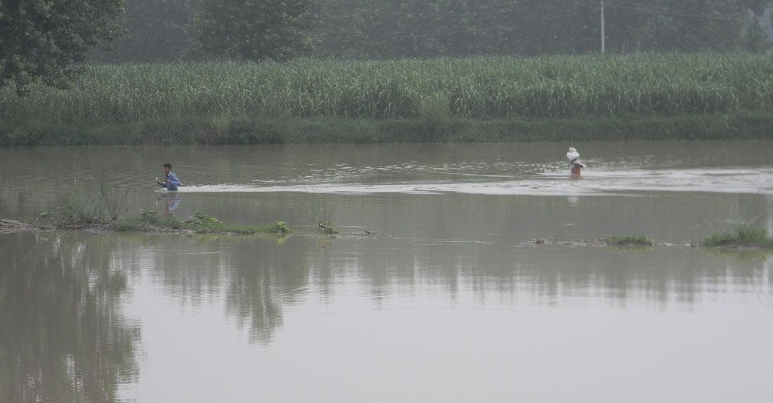 yamuna river, water level, flood