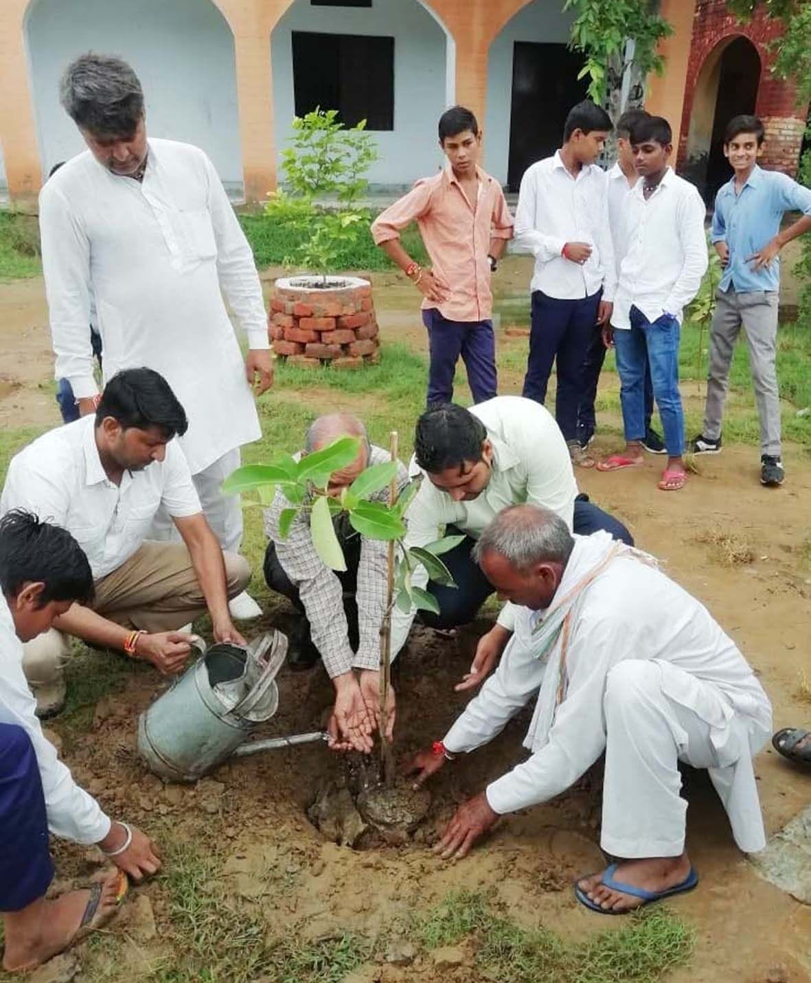 Plantation done in school