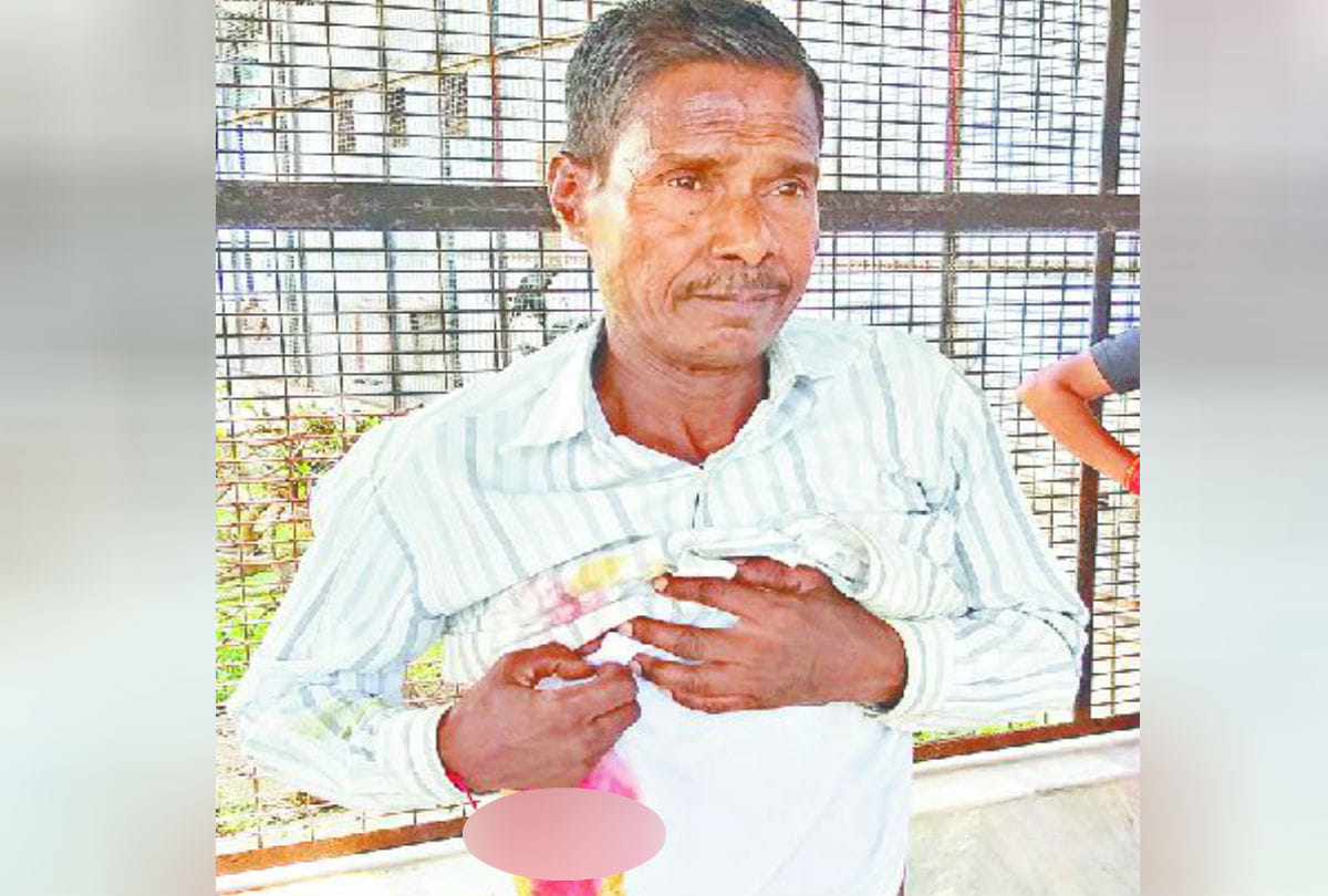 Monkeys attack on Sadhu Mai Ashram Employee Vrindavan