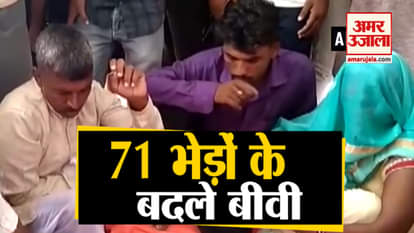 Husband gave wife to her lover in place of 71 sheeps, Now accused of theft of sheep