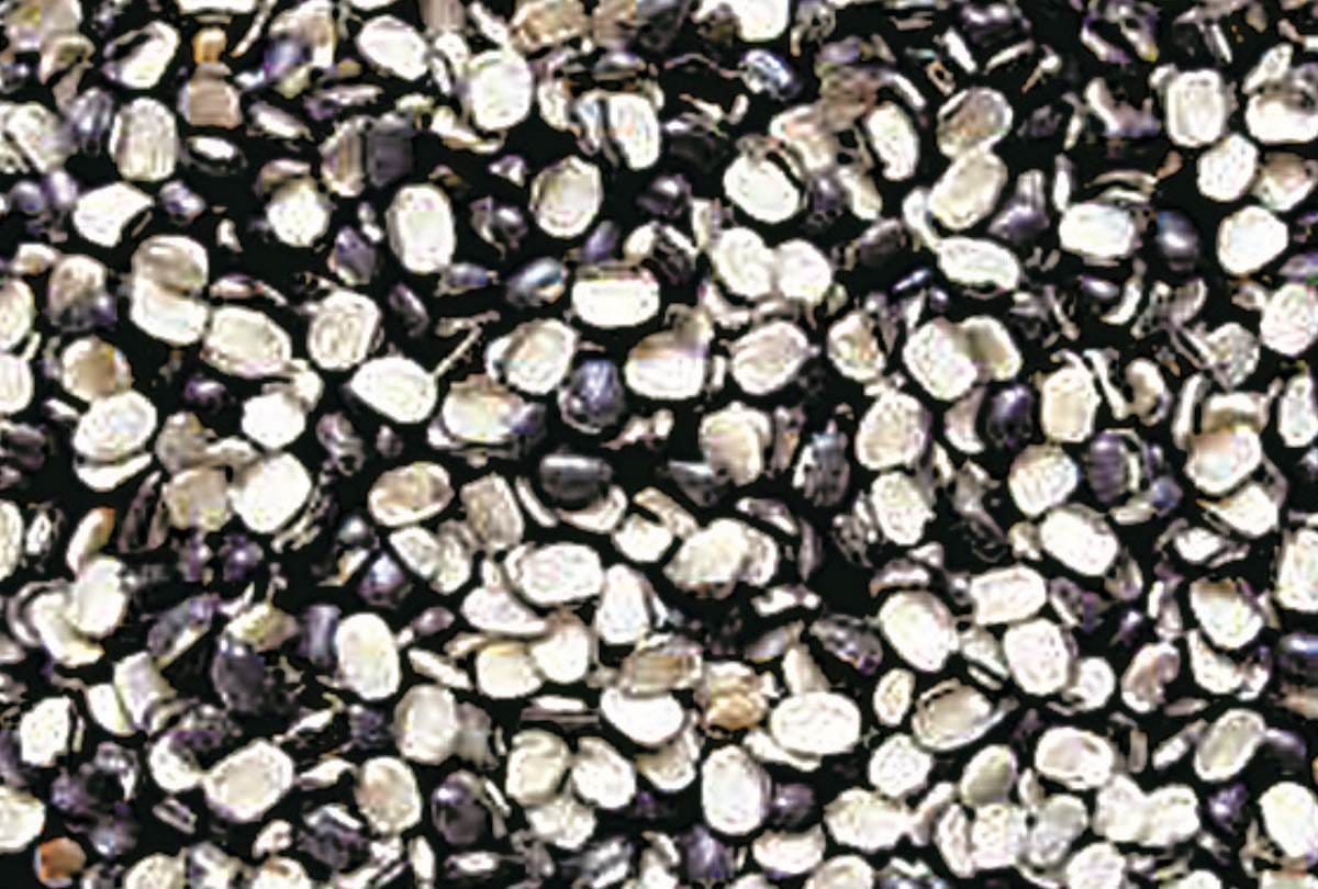 pistachio is beneficial for health