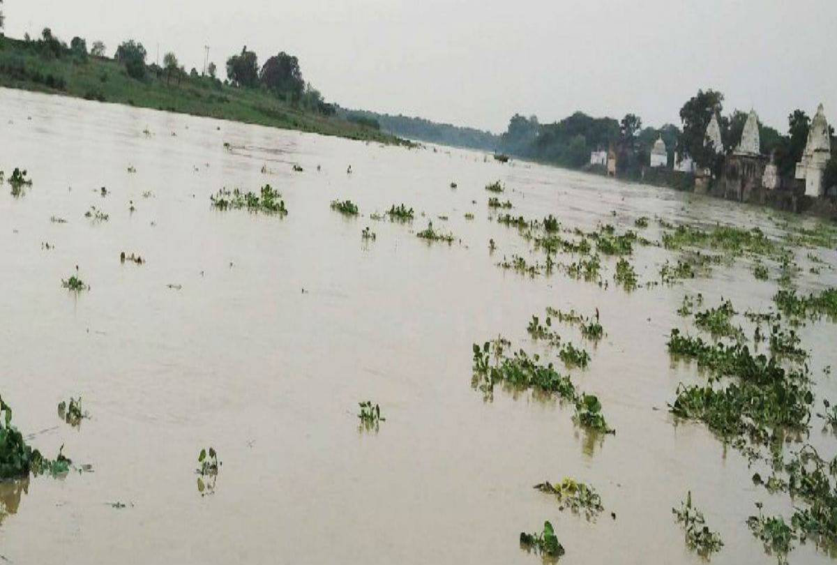 flood alert yamuna river water level reached danger mark in agra