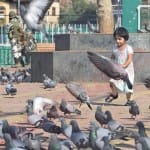 हाल-ए-कश्मीर