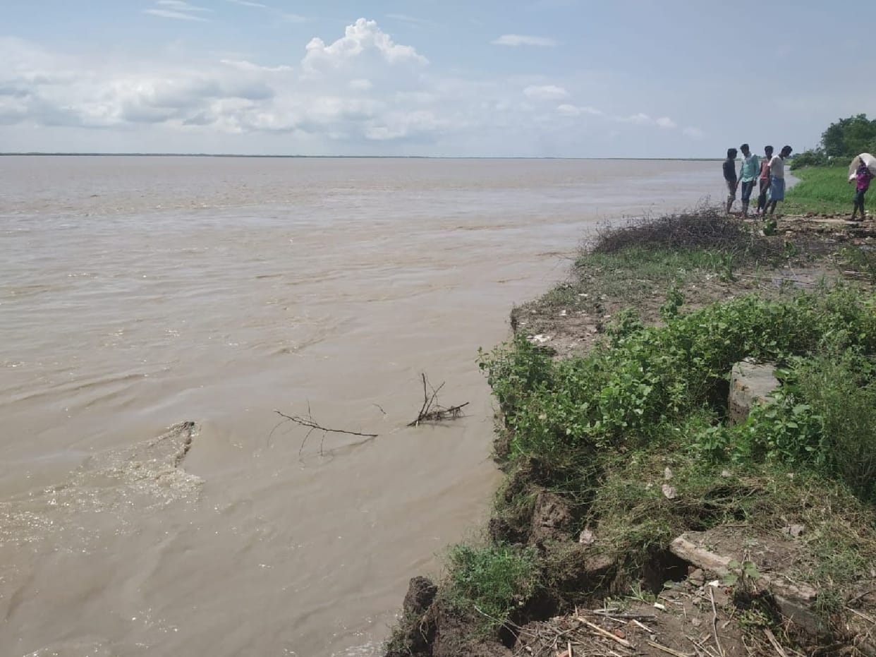 55 bigha farm in the river