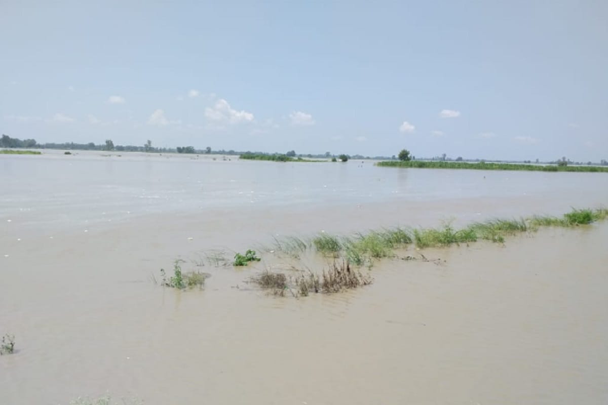 Water level in yamuna river crosses warning mark and crops destroyed in Muzaffarnagar