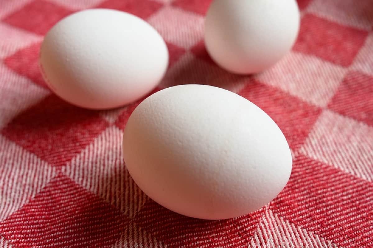 how to help an egg to improve hair health
