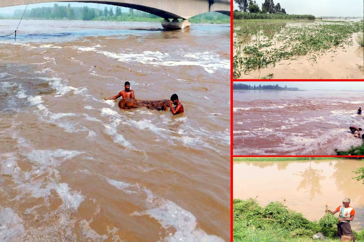 Yamuna river reached above danger mark in western UP, Crops submerged