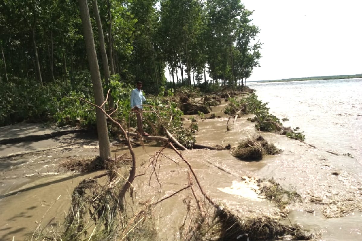 Yamuna river reached above danger mark in western UP, Crops submerged