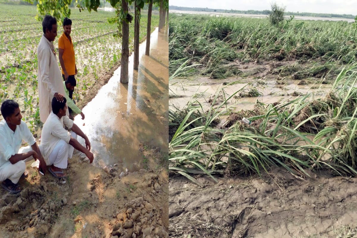 Yamuna river reached above danger mark in western UP, Crops submerged