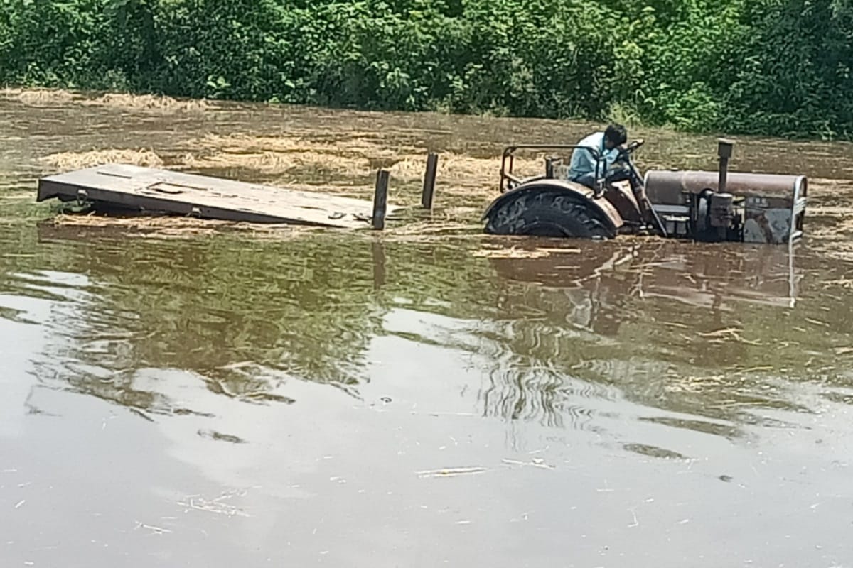 Yamuna river reached above danger mark in western UP, Crops submerged