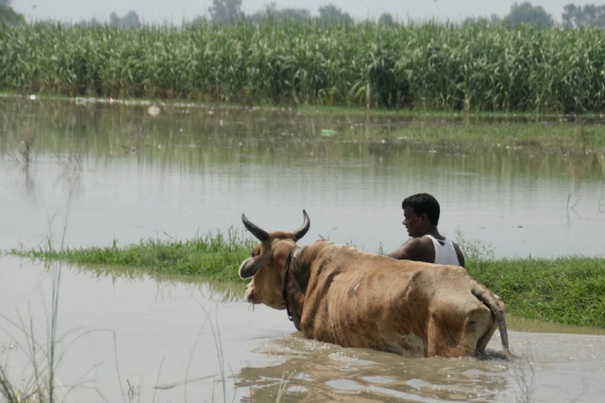 Water increased in yamuna Alert