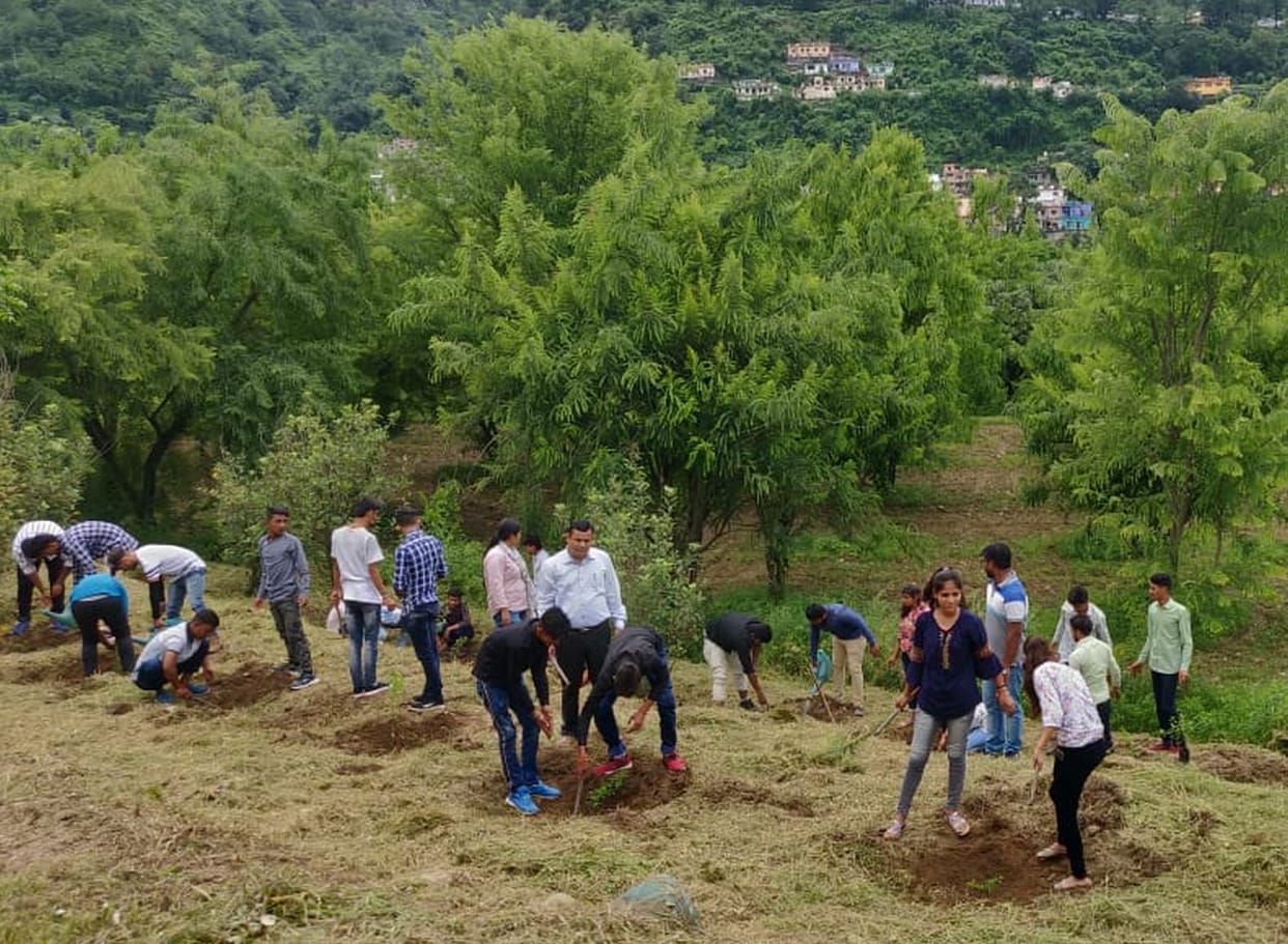 Students planted fruit plants