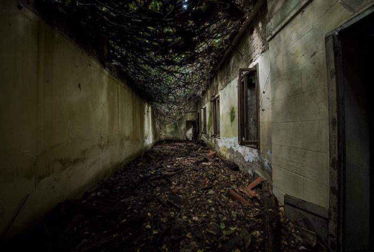 Island of Dead Horrifying facts about Poveglia Island Italy Plague Island