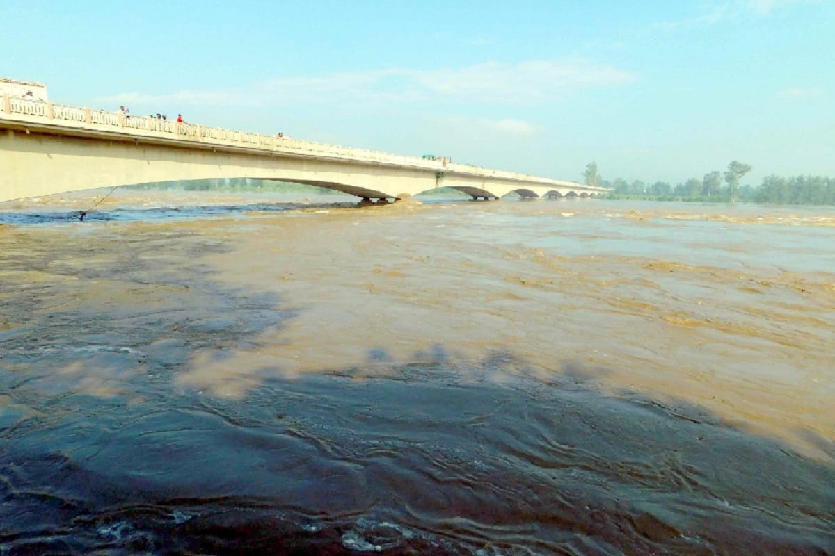 Water level in yamuna river crosses warning mark and crops destroyed in Muzaffarnagar