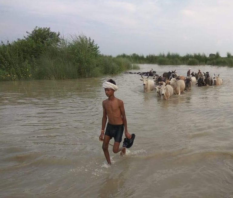floods in sambhal ganga