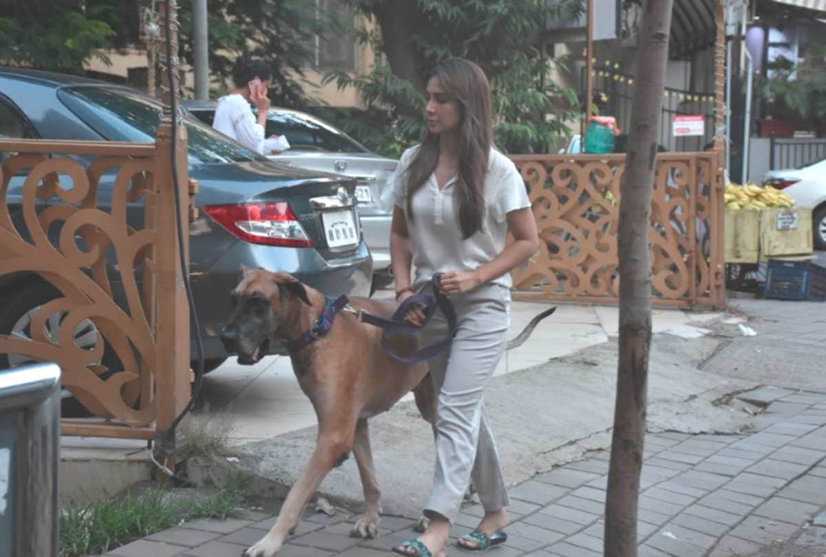 kim sharma spotted with her huge pet dog