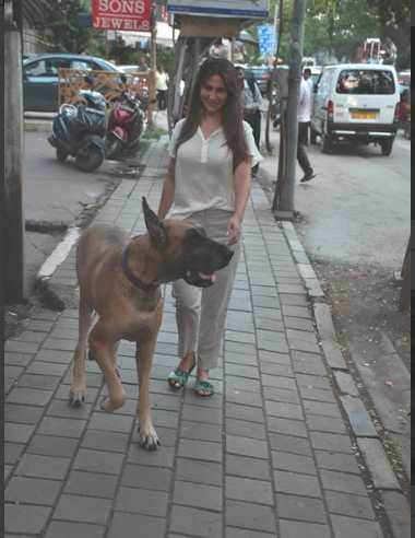 kim sharma spotted with her huge pet dog
