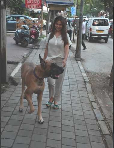 kim sharma spotted with her huge pet dog