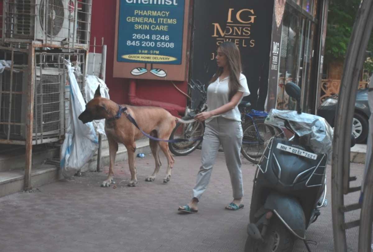 kim sharma spotted with her huge pet dog