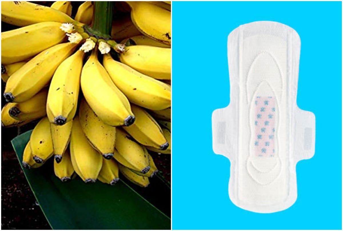 Sanitary pads made with banana fibre, will use two years, Delhi