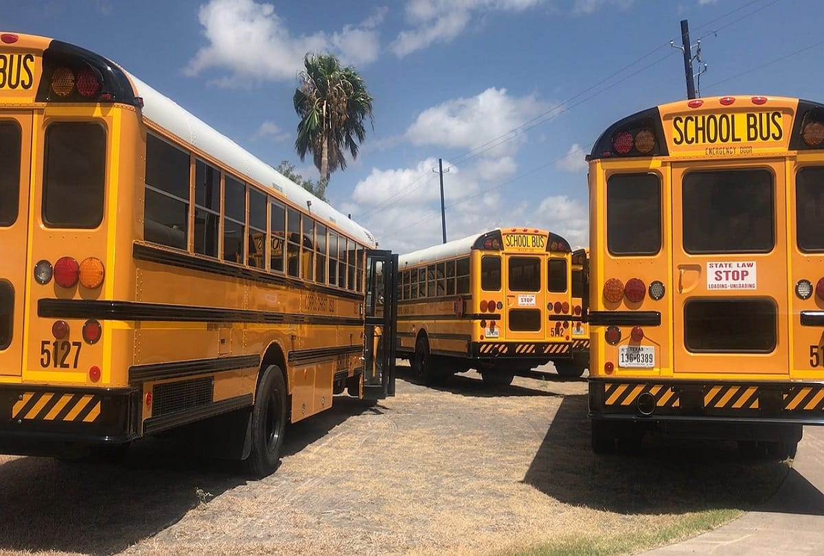 interesting facts about school bus why the color of school buses is yellow