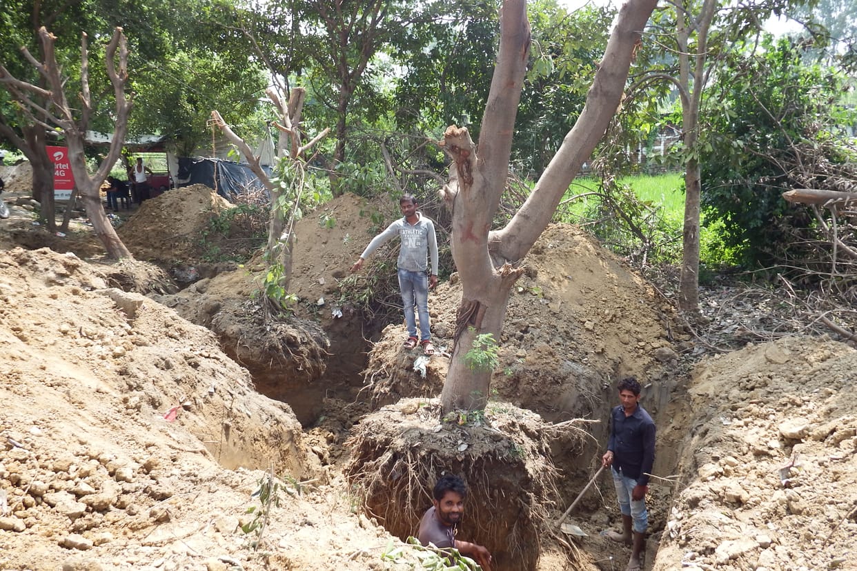 50 lakh rupees los on tre trasplant