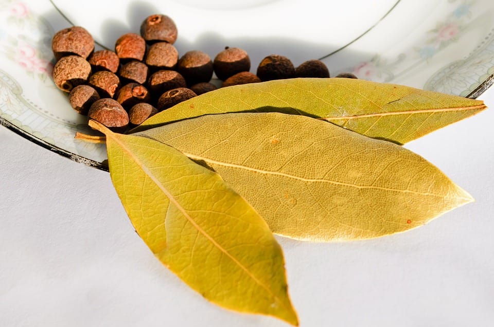 why you should include tej patta or bay leaf in your diet