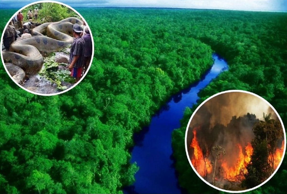 know about Major Career Options in Wildlife Conservation Science