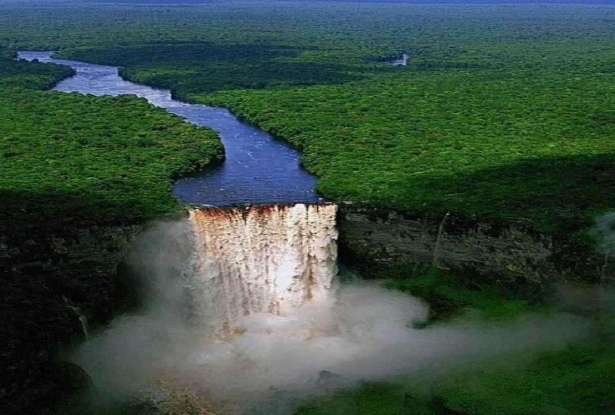 Amazon forest is full of mysterious creatures Amazon rainforest fires are burning at a record rate